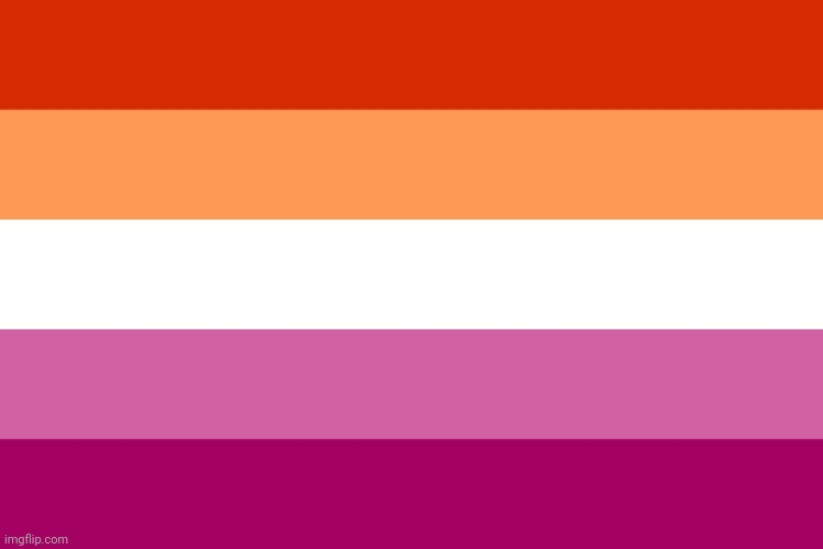 Lesbian flag | image tagged in lesbian flag | made w/ Imgflip meme maker