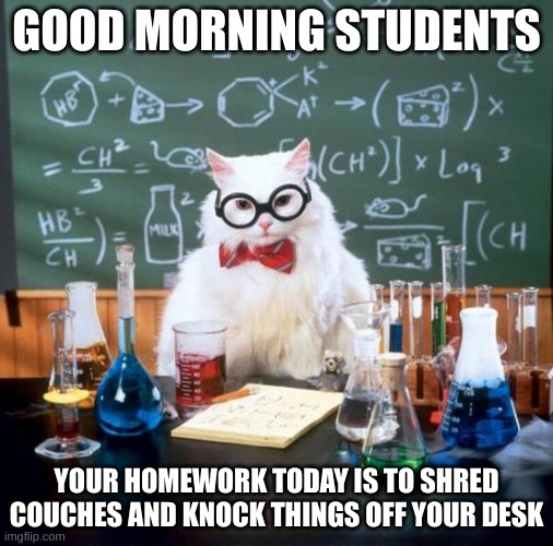 Chemistry Cat | GOOD MORNING STUDENTS; YOUR HOMEWORK TODAY IS TO SHRED COUCHES AND KNOCK THINGS OFF YOUR DESK | image tagged in memes,chemistry cat | made w/ Imgflip meme maker