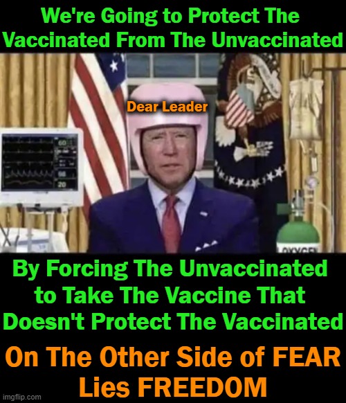 There is a Whole Lot of Stupid One Must Accept to Support The Clot Shot Scenario |  We're Going to Protect The 
Vaccinated From The Unvaccinated; Dear Leader; By Forcing The Unvaccinated 
to Take The Vaccine That 
Doesn't Protect The Vaccinated; On The Other Side of FEAR
Lies FREEDOM | image tagged in politics,covid vaccine,unvaxxed,fear,freedom,clot shot | made w/ Imgflip meme maker
