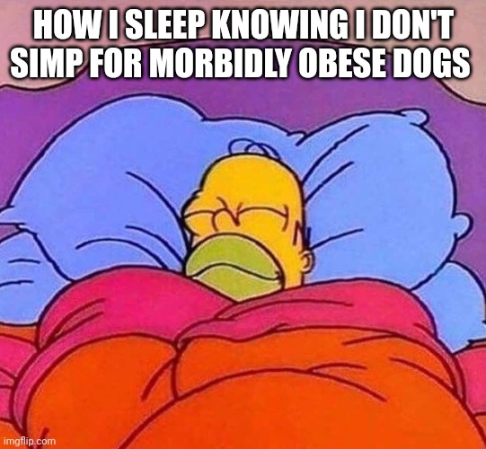 *Cough* Kara *Cough* | HOW I SLEEP KNOWING I DON'T SIMP FOR MORBIDLY OBESE DOGS | image tagged in homer simpson sleeping peacefully | made w/ Imgflip meme maker