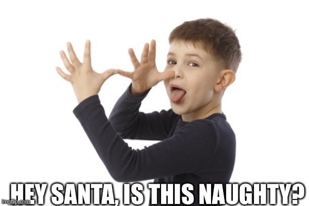 HEY SANTA, IS THIS NAUGHTY? | image tagged in santa naughty list | made w/ Imgflip meme maker