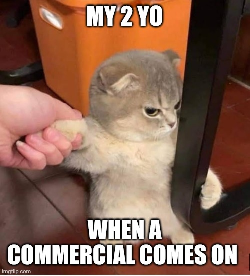 MY 2 YO; WHEN A COMMERCIAL COMES ON | image tagged in funny memes | made w/ Imgflip meme maker