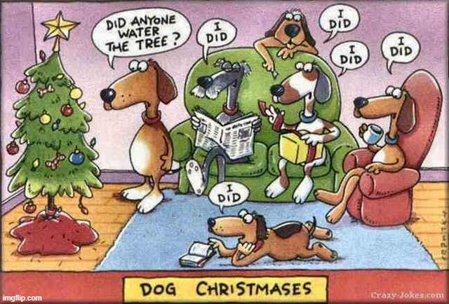 You sure it's water? | image tagged in comics/cartoons,christmas,dogs,dog christmases | made w/ Imgflip meme maker