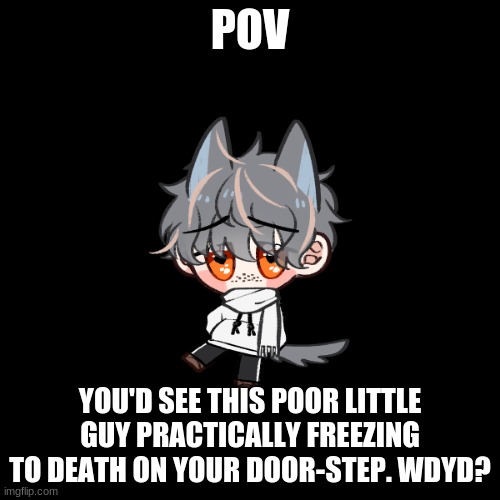 No killing him, can be adoption rp or romance. OCs at the ages of 16 or 15 needed if romance | POV; YOU'D SEE THIS POOR LITTLE GUY PRACTICALLY FREEZING TO DEATH ON YOUR DOOR-STEP. WDYD? | image tagged in roleplay,can be romance if you want,its a christmas miracle | made w/ Imgflip meme maker