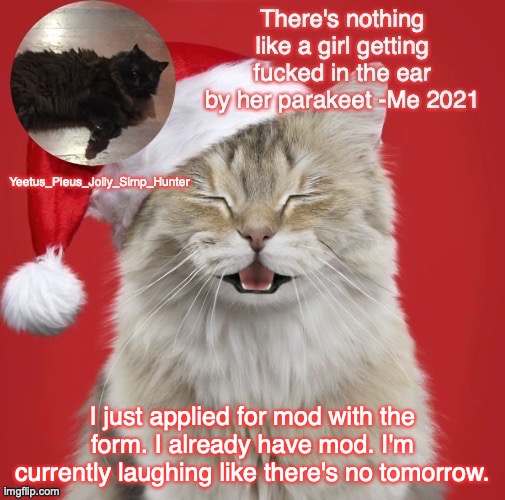 Christmas Template | I just applied for mod with the form. I already have mod. I'm currently laughing like there's no tomorrow. | image tagged in christmas template | made w/ Imgflip meme maker