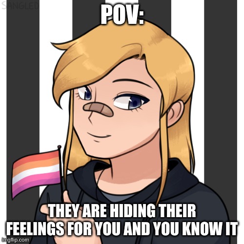 pretty obviously a romance rp. have fun with it | POV:; THEY ARE HIDING THEIR FEELINGS FOR YOU AND YOU KNOW IT | made w/ Imgflip meme maker