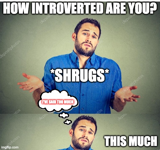 this much is too much | HOW INTROVERTED ARE YOU? *SHRUGS*; I'VE SAID TOO MUCH; THIS MUCH | image tagged in blank white template | made w/ Imgflip meme maker