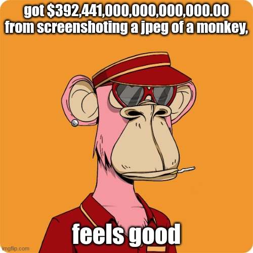 monkey jpeg | got $392,441,000,000,000,000.00 from screenshoting a jpeg of a monkey, feels good | image tagged in nft,memes | made w/ Imgflip meme maker