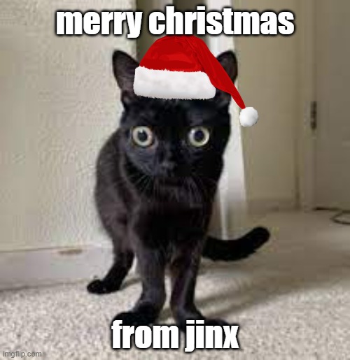 MERRY CHRISTMAS (FOR MOST OF U) | merry christmas; from jinx | image tagged in christmas,jinx,love | made w/ Imgflip meme maker