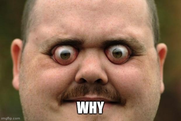 bulging eyes | WHY | image tagged in bulging eyes | made w/ Imgflip meme maker