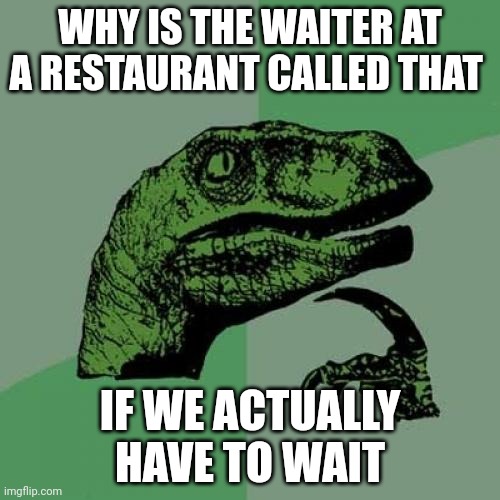 Philosoraptor Meme | WHY IS THE WAITER AT A RESTAURANT CALLED THAT; IF WE ACTUALLY HAVE TO WAIT | image tagged in memes,philosoraptor | made w/ Imgflip meme maker