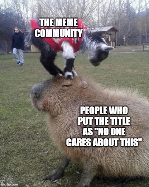 gotchu | THE MEME COMMUNITY; PEOPLE WHO PUT THE TITLE AS "NO ONE CARES ABOUT THIS" | image tagged in capybara,memes | made w/ Imgflip meme maker