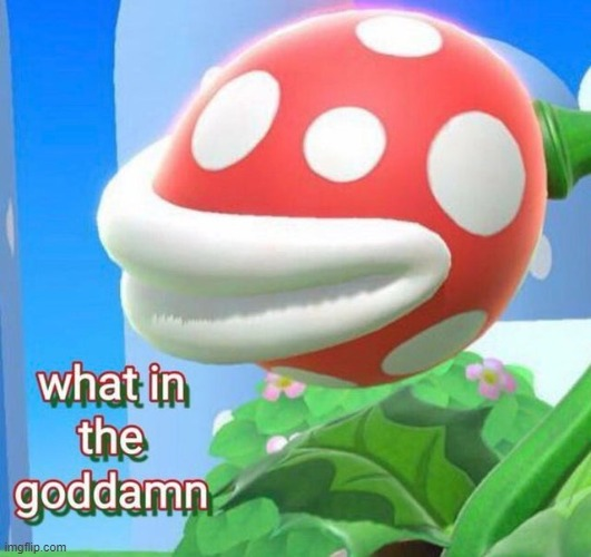 High Quality what in the goddamn Blank Meme Template