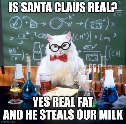 Chemistry Cat Meme | IS SANTA CLAUS REAL? YES REAL FAT AND HE STEALS OUR MILK | image tagged in memes,chemistry cat | made w/ Imgflip meme maker