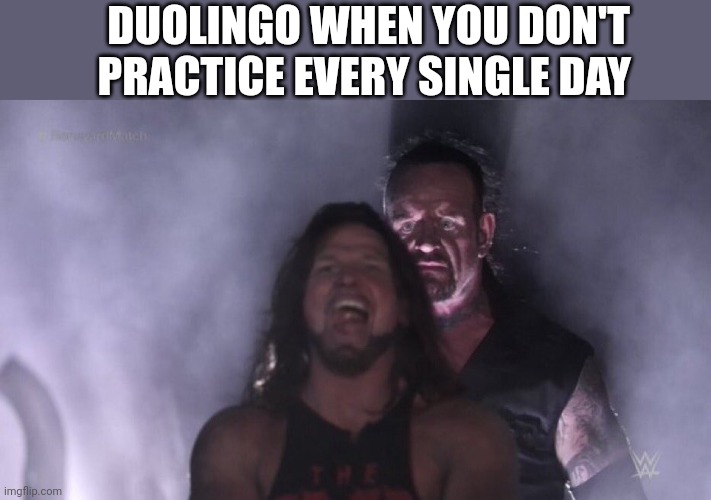 AJ Styles & Undertaker | DUOLINGO WHEN YOU DON'T PRACTICE EVERY SINGLE DAY | image tagged in aj styles undertaker | made w/ Imgflip meme maker