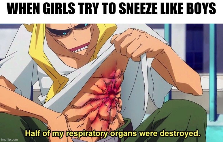 Appreciate the gender differences |  WHEN GIRLS TRY TO SNEEZE LIKE BOYS | image tagged in half of my respiratory organs were destroyed,my hero academia,sneeze,boys vs girls | made w/ Imgflip meme maker