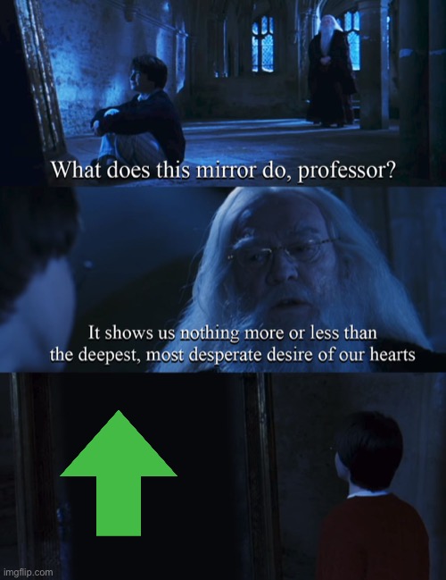 LOL | image tagged in harry potter mirror | made w/ Imgflip meme maker