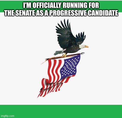 I’M OFFICIALLY RUNNING FOR THE SENATE AS A PROGRESSIVE CANDIDATE | made w/ Imgflip meme maker