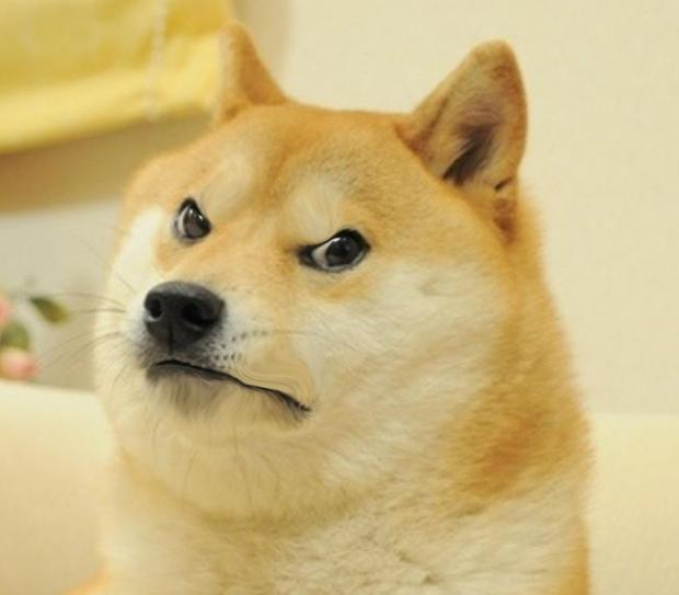 High Quality Angry Doge Blank Meme Template