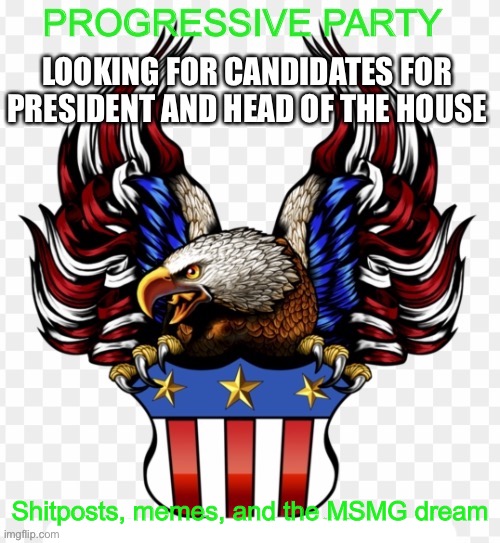 In the MSMGovernment stream | LOOKING FOR CANDIDATES FOR PRESIDENT AND HEAD OF THE HOUSE; Shitposts, memes, and the MSMG dream | made w/ Imgflip meme maker