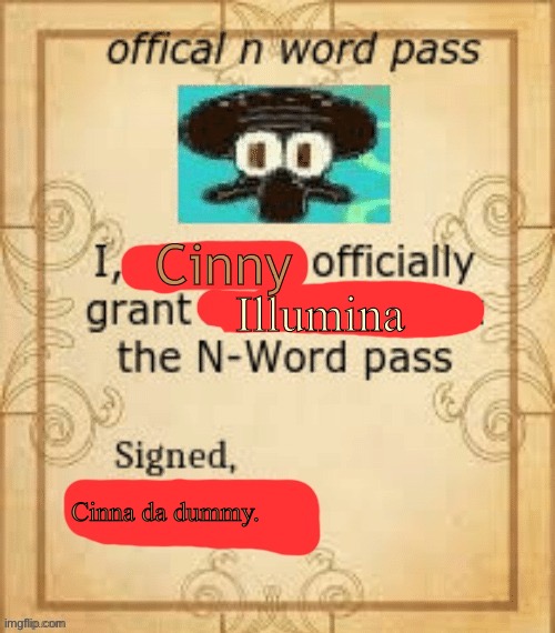 Thy Official N Word Pass. | Cinny Illumina Cinna da dummy. | image tagged in thy official n word pass | made w/ Imgflip meme maker