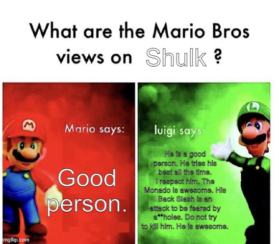 Mario Bros.' Views On Shulk | Shulk; Good person. He is a good person. He tries his best all the time. I respect him. The Monado is awesome. His Back Slash is an attack to be feared by a**holes. Do not try to kill him. He is awesome. | image tagged in mario bros views | made w/ Imgflip meme maker