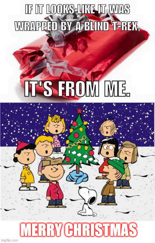 MERRY CHRISTMAS | image tagged in merry christmas | made w/ Imgflip meme maker