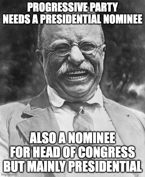 Teddy Roosevelt | PROGRESSIVE PARTY NEEDS A PRESIDENTIAL NOMINEE; ALSO A NOMINEE FOR HEAD OF CONGRESS BUT MAINLY PRESIDENTIAL | image tagged in teddy roosevelt | made w/ Imgflip meme maker