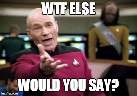 Picard Wtf Meme | WTF ELSE WOULD YOU SAY? | image tagged in memes,picard wtf | made w/ Imgflip meme maker