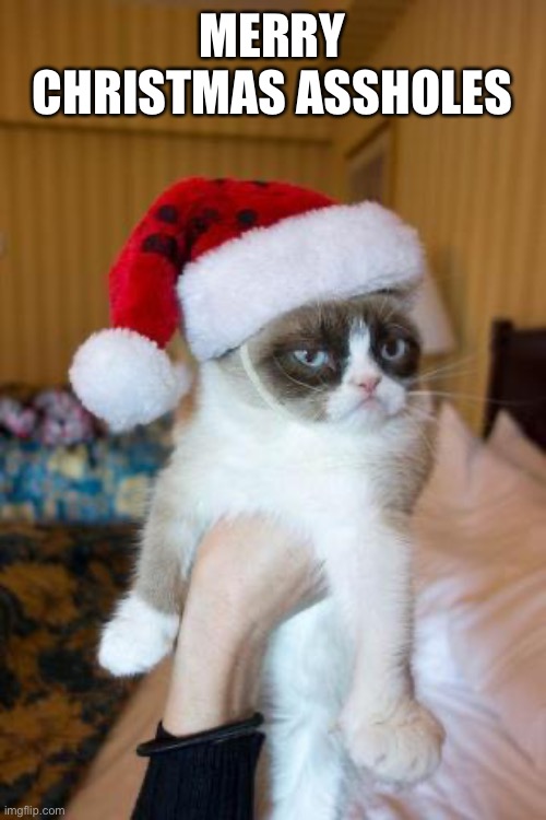 Grumpy Cat Christmas | MERRY CHRISTMAS ASSHOLES | image tagged in memes,grumpy cat christmas,grumpy cat | made w/ Imgflip meme maker