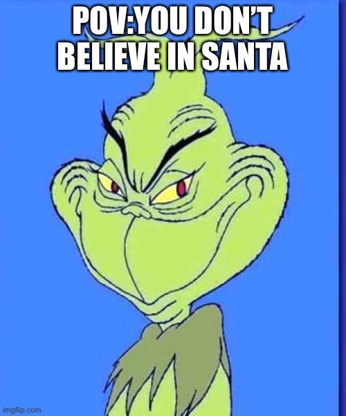 Good Grinch | POV:YOU DON’T BELIEVE IN SANTA | image tagged in good grinch,memes,christmas,merry christmas,santa claus | made w/ Imgflip meme maker