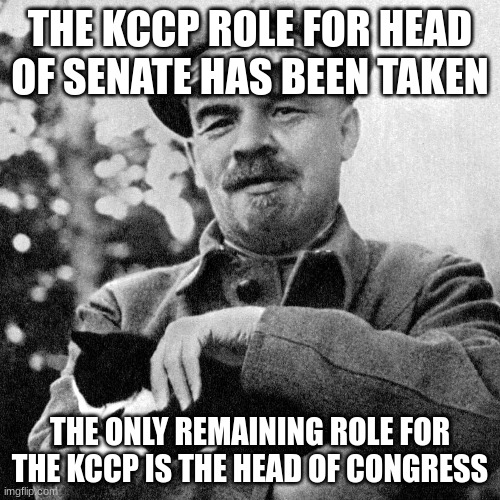 shadilay | THE KCCP ROLE FOR HEAD OF SENATE HAS BEEN TAKEN; THE ONLY REMAINING ROLE FOR THE KCCP IS THE HEAD OF CONGRESS | made w/ Imgflip meme maker