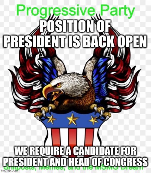 Also gn | POSITION OF PRESIDENT IS BACK OPEN; WE REQUIRE A CANDIDATE FOR PRESIDENT AND HEAD OF CONGRESS | image tagged in msmg government progressive logo | made w/ Imgflip meme maker