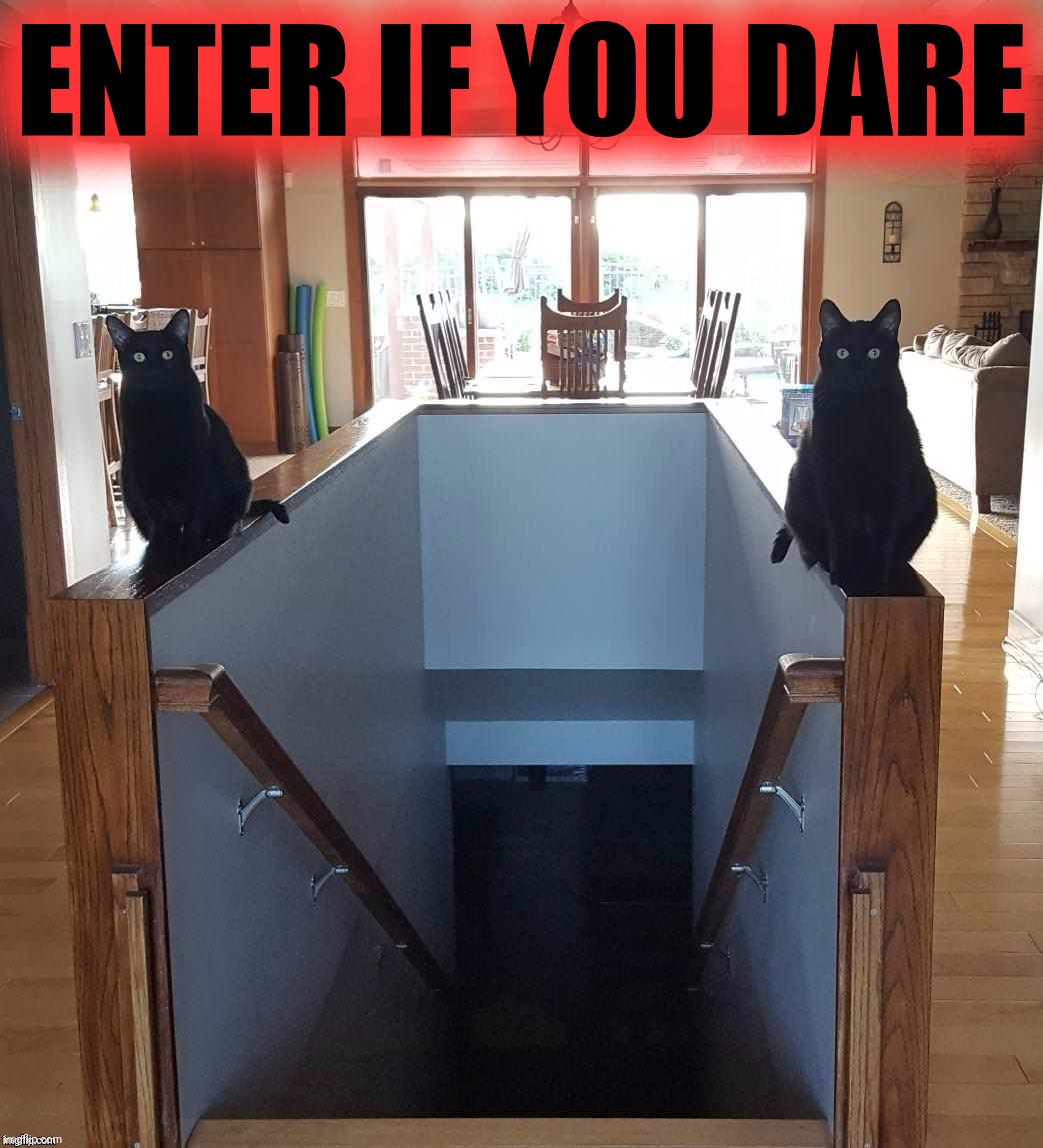  ENTER IF YOU DARE | made w/ Imgflip meme maker