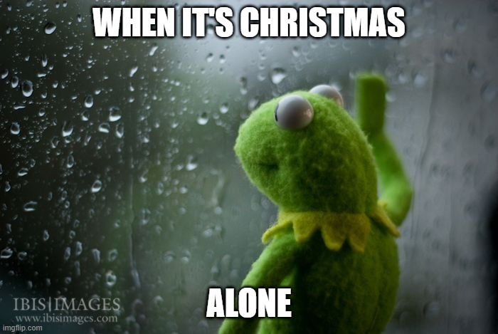 Ahhhh | WHEN IT'S CHRISTMAS; ALONE | image tagged in kermit window,not funny,cgh | made w/ Imgflip meme maker