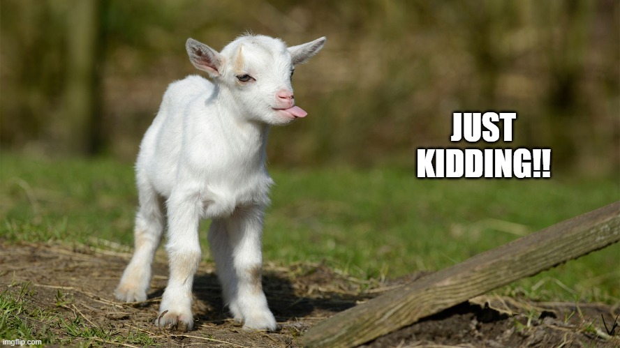 Just Kidding!  (funny because a baby goat is called a kid) |  JUST KIDDING!! | image tagged in funny,goat,just kidding | made w/ Imgflip meme maker