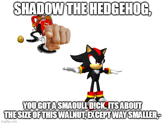 Blank White Template | SHADOW THE HEDGEHOG, YOU GOT A SMAOULL D!CK. ITS ABOUT THE SIZE OF THIS WALNUT, EXCEPT WAY SMALLER,- | image tagged in blank white template | made w/ Imgflip meme maker