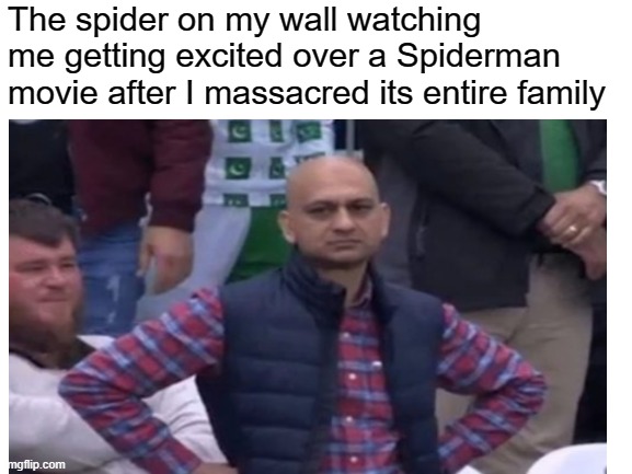 i cant think of a title :) | The spider on my wall watching me getting excited over a Spiderman movie after I massacred its entire family | image tagged in spiderman,spider | made w/ Imgflip meme maker