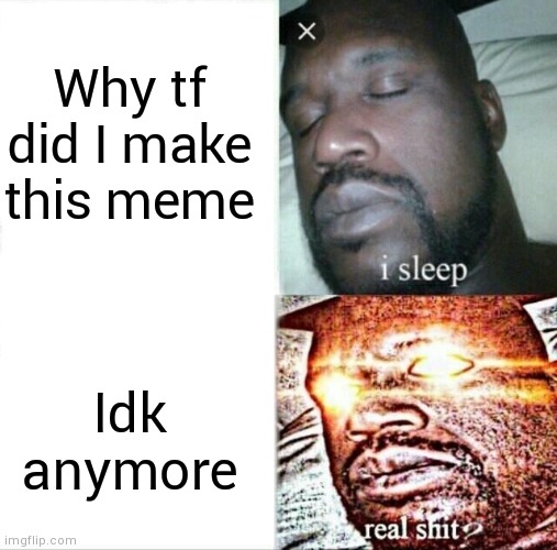 Sleeping Shaq Meme | Why tf did I make this meme; Idk anymore | image tagged in memes,sleeping shaq | made w/ Imgflip meme maker