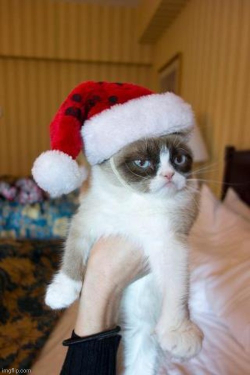 Grumpy Cat Christmas Meme | image tagged in memes,grumpy cat christmas,grumpy cat | made w/ Imgflip meme maker