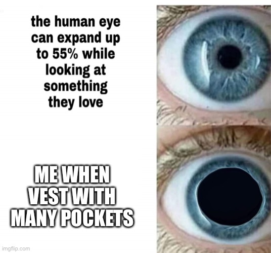 Human eye | ME WHEN VEST WITH MANY POCKETS | image tagged in human eye | made w/ Imgflip meme maker