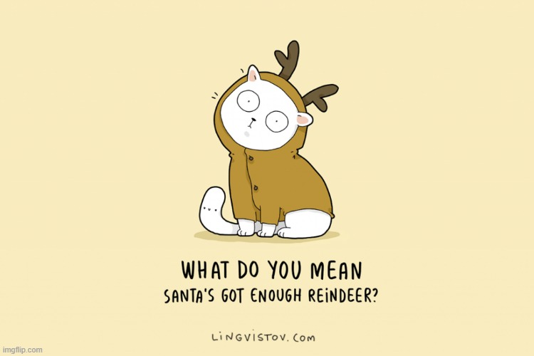 A Cat's Way Of Thinking At Christmas | image tagged in memes,comics,cats,what do you mean,enough,reindeer | made w/ Imgflip meme maker