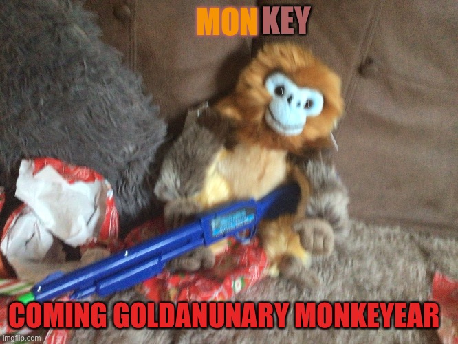 I got this cretin for christmas and thought i’d make a meme | KEY; MON; COMING GOLDANUNARY MONKEYEAR | image tagged in golden snub nosed monkey,monke,monkey | made w/ Imgflip meme maker