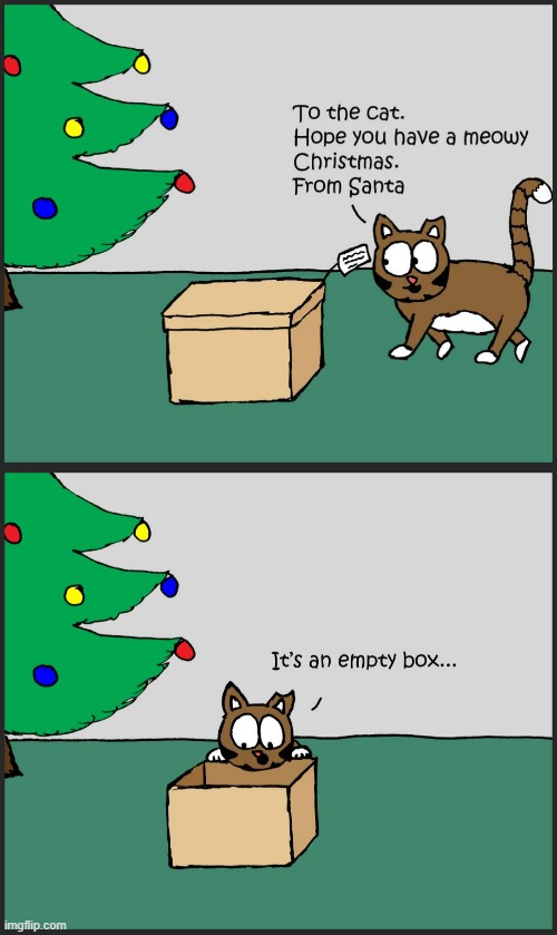 The Joy Of Christmas | image tagged in memes,comics,cats,present,empty,box | made w/ Imgflip meme maker