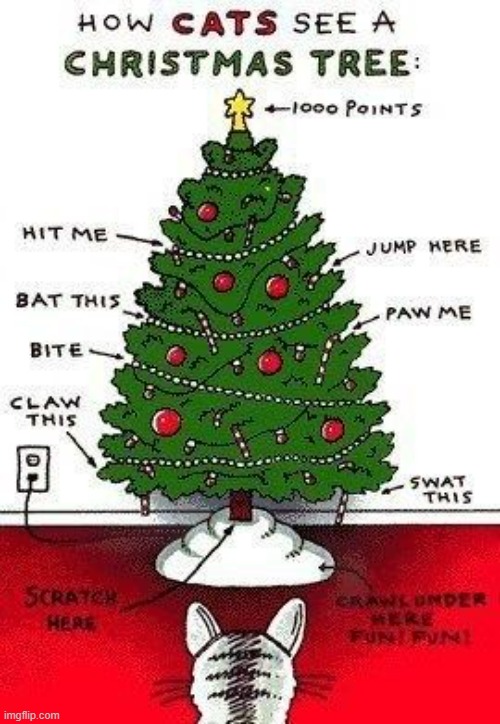 A Cat's Cheat Sheet At Christmas | image tagged in memes,comics,cats,how,see,christmas tree | made w/ Imgflip meme maker