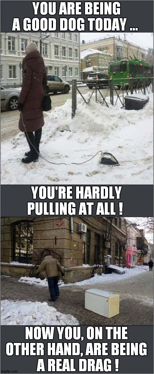 Different 'Walkies' In The Snow Experiences ! | YOU ARE BEING A GOOD DOG TODAY ... YOU'RE HARDLY PULLING AT ALL ! NOW YOU, ON THE OTHER HAND, ARE BEING
 A REAL DRAG ! | image tagged in snow,walking,pulling | made w/ Imgflip meme maker