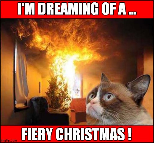 If Grumpy Cat Had A Christmas Wish ! | I'M DREAMING OF A ... FIERY CHRISTMAS ! | image tagged in cats,grumpy cat,christmas,fire | made w/ Imgflip meme maker