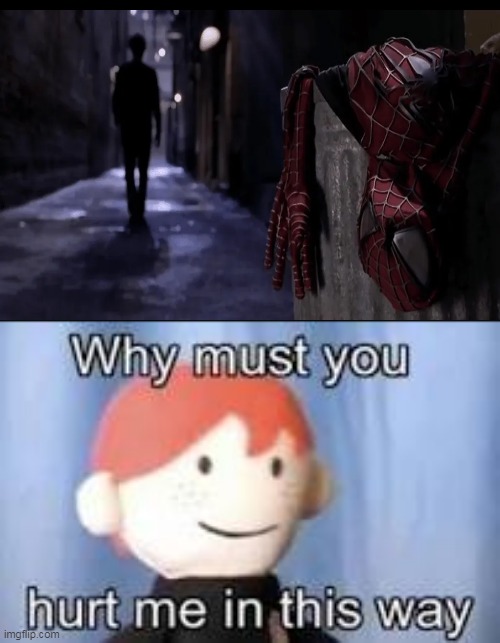 Spiderman 2 | image tagged in why must you hurt me in this way,spiderman peter parker | made w/ Imgflip meme maker