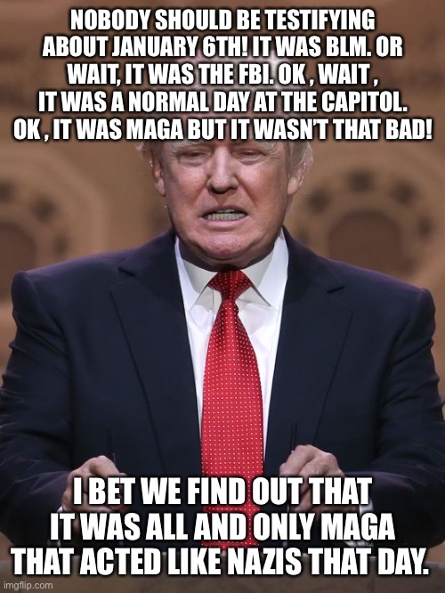 Donald Trump | NOBODY SHOULD BE TESTIFYING ABOUT JANUARY 6TH! IT WAS BLM. OR WAIT, IT WAS THE FBI. OK , WAIT , IT WAS A NORMAL DAY AT THE CAPITOL. OK , IT WAS MAGA BUT IT WASN’T THAT BAD! I BET WE FIND OUT THAT IT WAS ALL AND ONLY MAGA THAT ACTED LIKE NAZIS THAT DAY. | image tagged in donald trump | made w/ Imgflip meme maker