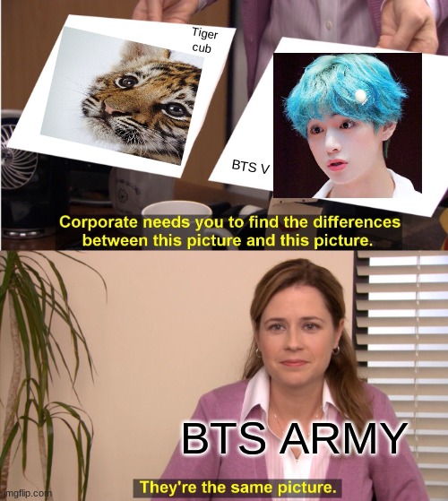 Adorableeeee | Tiger cub; BTS V; BTS ARMY | image tagged in memes,they're the same picture | made w/ Imgflip meme maker